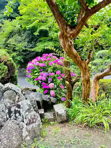 梅渓寺(宮城県)