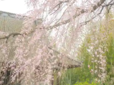 刺田比古神社(和歌山県)