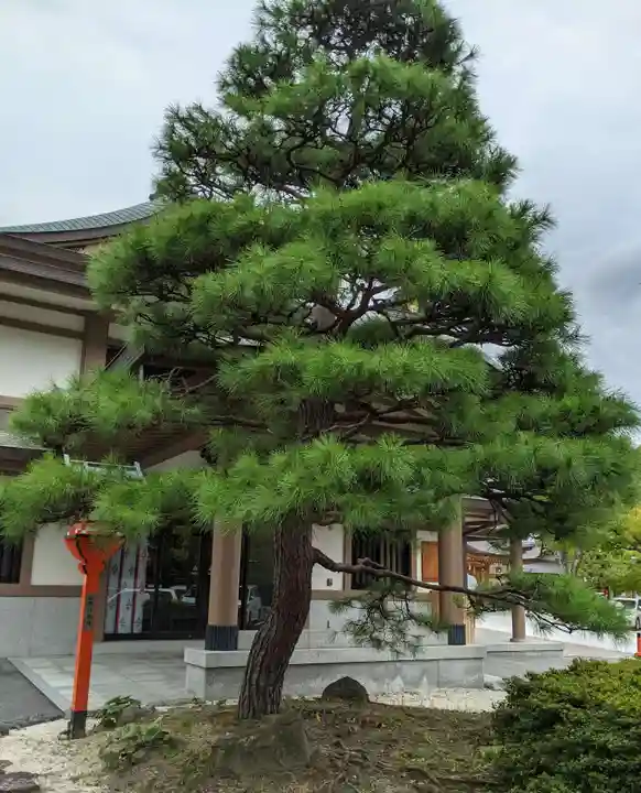 方違神社の自然