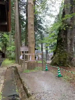 諏訪大社(長野県)