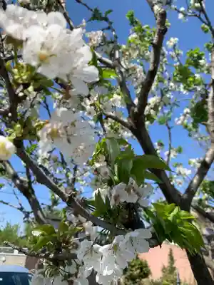 武蔵國八海山神社(埼玉県)