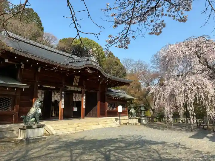 大石神社の{uncategorized: "未分類", other: "その他", undefined: "問題あり", building: "その他建物", grave: "お墓", sacred_gate: "鳥居", guardian: "狛犬", statue: "像", buddha: "仏像", history: "歴史", nature: "自然", garden: "庭園", animal: "動物", pagoda: "塔", temizu: "手水舎", mountain_gate: "山門・神門", sanctuary: "本殿・本堂", subordinate: "末社・摂社", art: "芸術", scenery: "景色", jizo: "地蔵", ema: "絵馬", goshuin: "御朱印", omikuji: "おみくじ", items: "授与品その他", amulet: "お守り", goshuincho: "御朱印帳", eats: "食事", festival: "お祭り", votive_dance: "神楽", shichigosan: "七五三参", wedding: "結婚式", experience: "体験その他", initially: "初詣", around: "周辺", anti_infection: "感染症対策"}
