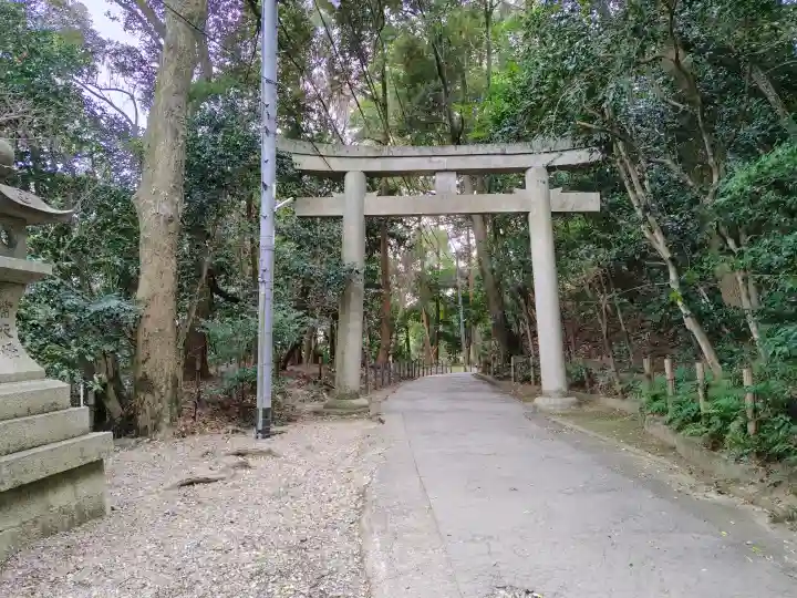 石清水八幡宮の{uncategorized: "未分類", other: "その他", undefined: "問題あり", building: "その他建物", grave: "お墓", sacred_gate: "鳥居", guardian: "狛犬", statue: "像", buddha: "仏像", history: "歴史", nature: "自然", garden: "庭園", animal: "動物", pagoda: "塔", temizu: "手水舎", mountain_gate: "山門・神門", sanctuary: "本殿・本堂", subordinate: "末社・摂社", art: "芸術", scenery: "景色", jizo: "地蔵", ema: "絵馬", goshuin: "御朱印", omikuji: "おみくじ", items: "授与品その他", amulet: "お守り", goshuincho: "御朱印帳", eats: "食事", festival: "お祭り", votive_dance: "神楽", shichigosan: "七五三参", wedding: "結婚式", experience: "体験その他", initially: "初詣", around: "周辺", anti_infection: "感染症対策"}