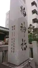 柏神社の建物その他