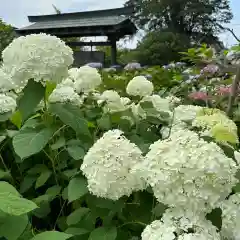 豊景神社(福島県)