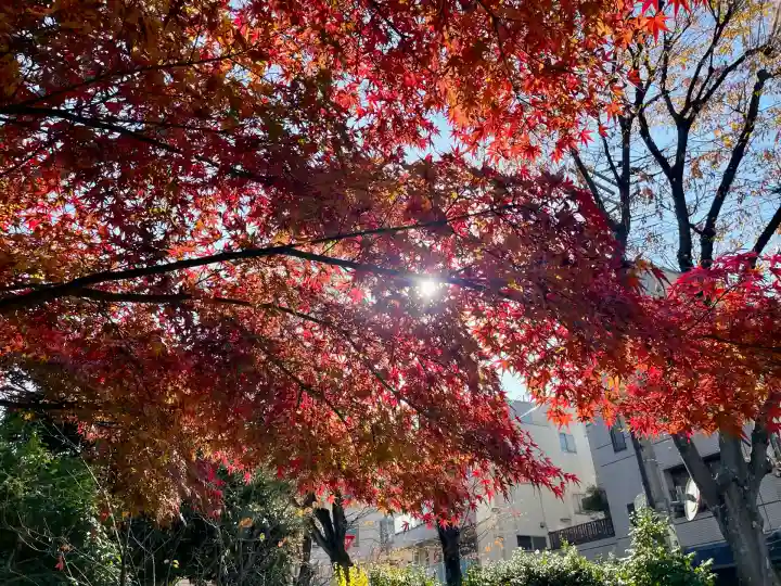 多賀神社(東京都)