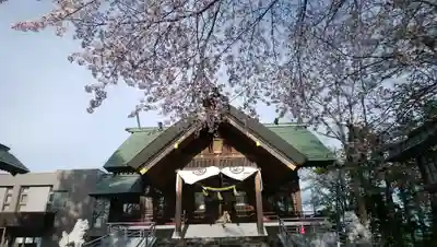 信濃神社の本殿・本堂
