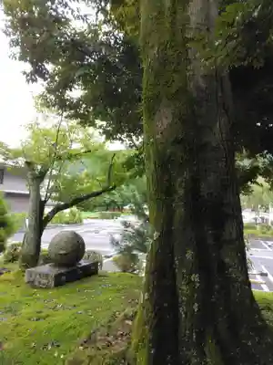 綾戸大明神(京都府)