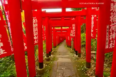 佐助稲荷神社の鳥居