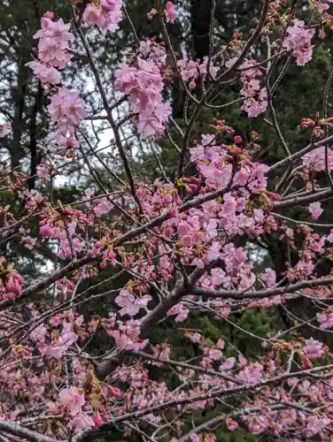 伊古奈比咩命神社(静岡県)