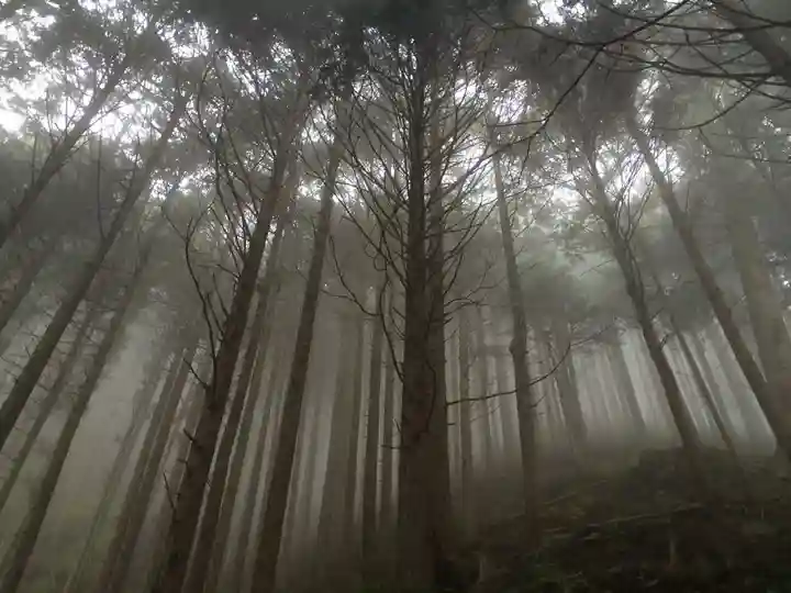 武蔵御嶽神社の自然