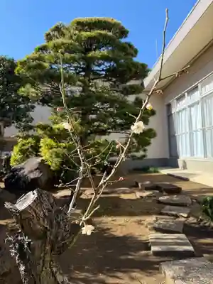 福王山  慈眼寺(東京都)
