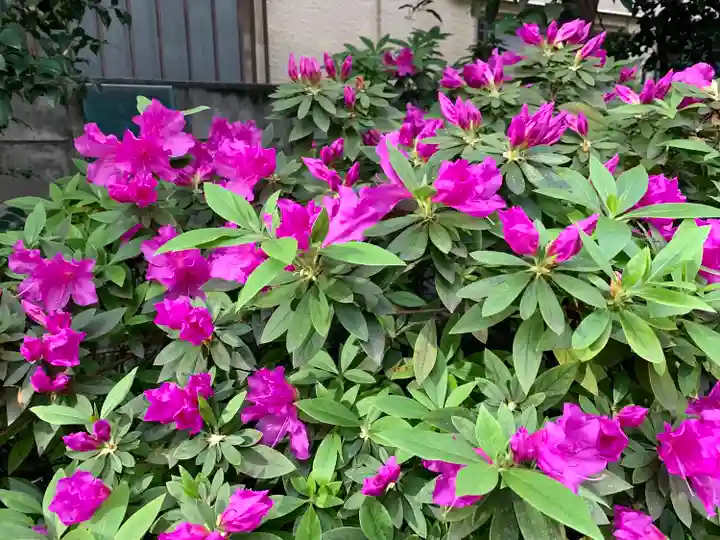 秋葉神社の自然