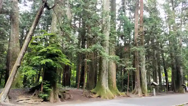 小國神社(静岡県)
