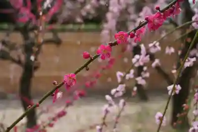 結城神社(三重県)