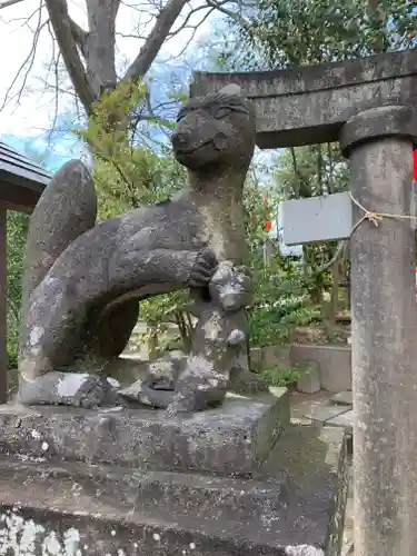 安積國造神社の狛犬