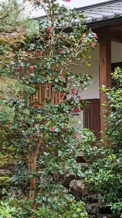 安楽寺(京都府)