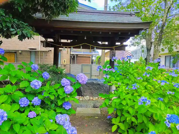 稲葉神社の自然