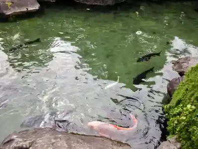 甲斐善光寺(山梨県)