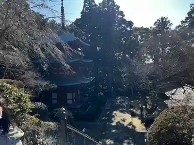 目の霊山 油山寺(静岡県)