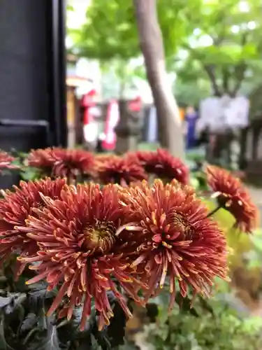 陽運寺(東京都)