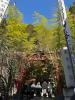 來宮神社(静岡県)