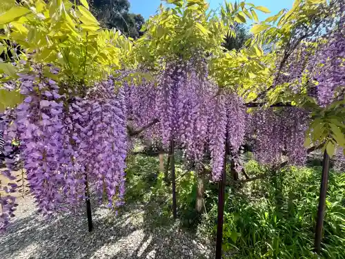 白毫寺熊野権現社(兵庫県)