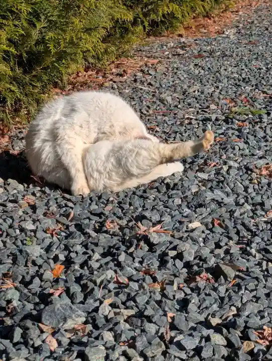 盛岡八幡宮(岩手県)