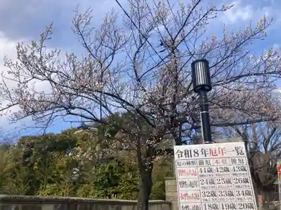 時宗総本山 遊行寺（正式：清浄光寺）(神奈川県)