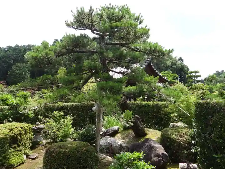 大池寺(滋賀県)