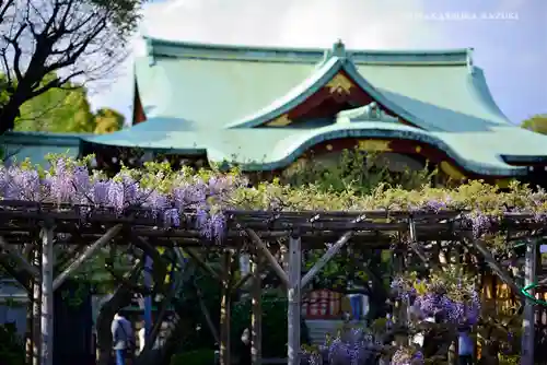 亀戸天神社の景色