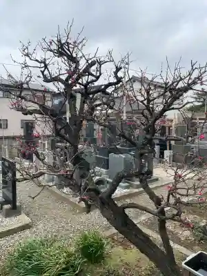 玉蔵院の{uncategorized: "未分類", other: "その他", undefined: "問題あり", building: "その他建物", grave: "お墓", sacred_gate: "鳥居", guardian: "狛犬", statue: "像", buddha: "仏像", history: "歴史", nature: "自然", garden: "庭園", animal: "動物", pagoda: "塔", temizu: "手水舎", mountain_gate: "山門・神門", sanctuary: "本殿・本堂", subordinate: "末社・摂社", art: "芸術", scenery: "景色", jizo: "地蔵", ema: "絵馬", goshuin: "御朱印", omikuji: "おみくじ", items: "授与品その他", amulet: "お守り", goshuincho: "御朱印帳", eats: "食事", festival: "お祭り", votive_dance: "神楽", shichigosan: "七五三参", wedding: "結婚式", experience: "体験その他", initially: "初詣", around: "周辺", anti_infection: "感染症対策"}