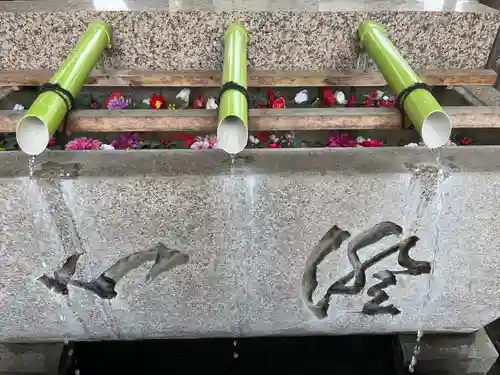 伊勢崎神社(群馬県)