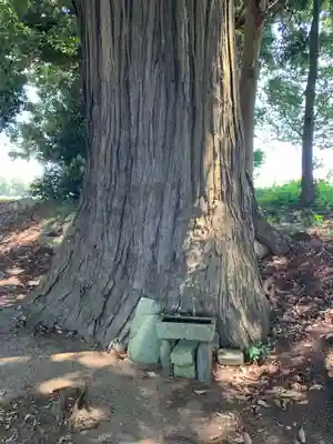 八幡神社(千葉県)