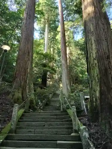 室生寺の{uncategorized: "未分類", other: "その他", undefined: "問題あり", building: "その他建物", grave: "お墓", sacred_gate: "鳥居", guardian: "狛犬", statue: "像", buddha: "仏像", history: "歴史", nature: "自然", garden: "庭園", animal: "動物", pagoda: "塔", temizu: "手水舎", mountain_gate: "山門・神門", sanctuary: "本殿・本堂", subordinate: "末社・摂社", art: "芸術", scenery: "景色", jizo: "地蔵", ema: "絵馬", goshuin: "御朱印", omikuji: "おみくじ", items: "授与品その他", amulet: "お守り", goshuincho: "御朱印帳", eats: "食事", festival: "お祭り", votive_dance: "神楽", shichigosan: "七五三参", wedding: "結婚式", experience: "体験その他", initially: "初詣", around: "周辺", anti_infection: "感染症対策"}
