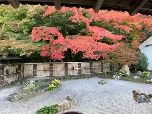 南禅寺の庭園