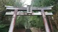 子之神社の鳥居