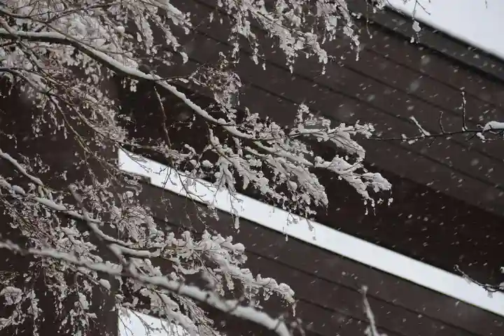 開成山大神宮の鳥居