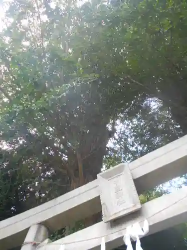 中里神社の鳥居