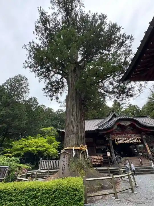 北口本宮冨士浅間神社(山梨県)