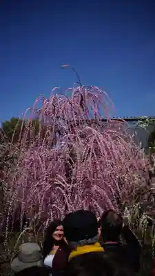 城南宮(京都府)