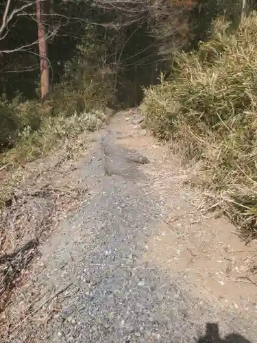 安養寺(栃木県)