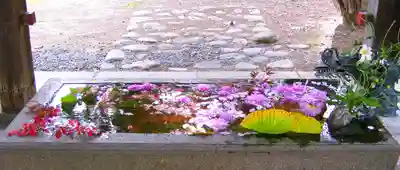 札幌護國神社の手水舎