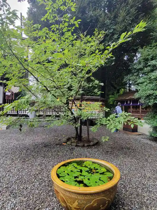 阿佐ヶ谷神明宮のその他建物