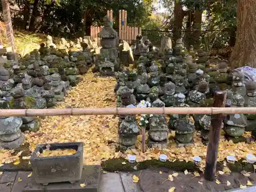 杉本寺の塔