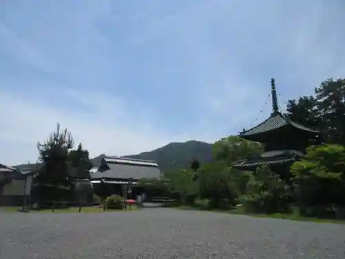 清凉寺の景色