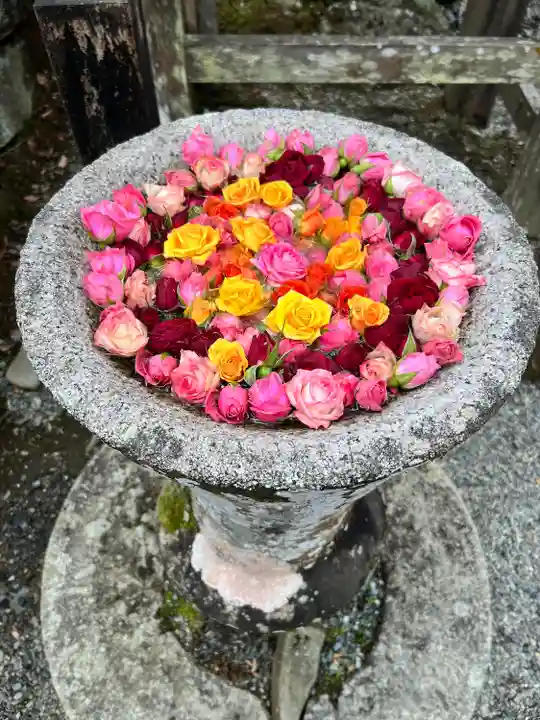 丹生都比売神社(和歌山県)