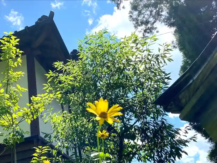山家神社の自然