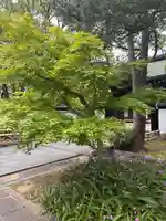 智積院(京都府)