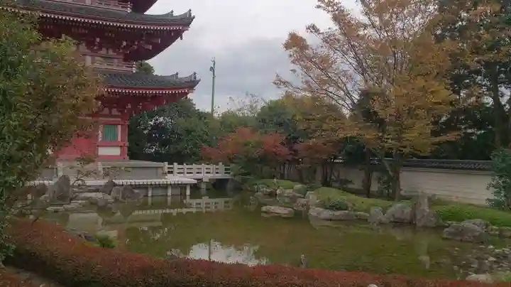 蓮華院誕生寺 本院の自然